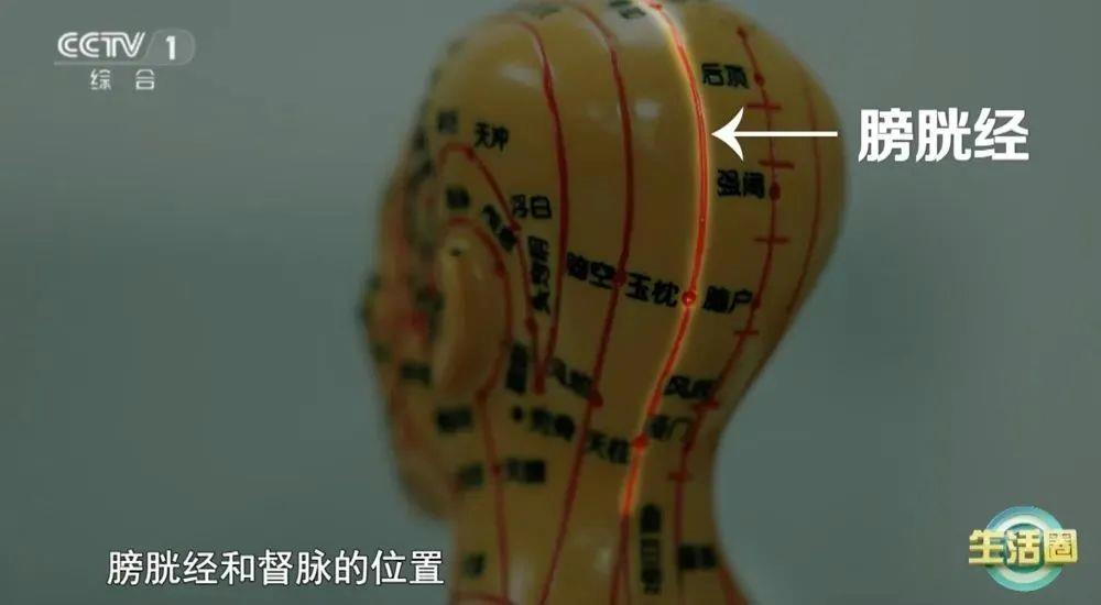 康问题 护发与健康小贴士快收藏开元棋牌不同位置白发反映不同健(图2)